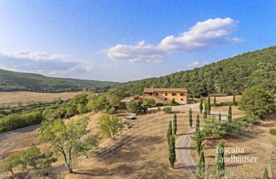 Maison de campagne à vendre Sarteano, Toscane, RIF 3005 Zufahrt zum Anwesen