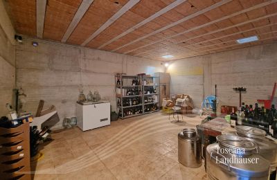 Ferme à vendre Sarteano, Toscane, RIF 3009 Cantina