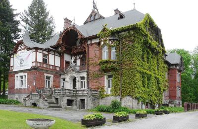 Villa historique à vendre Kudowa-Zdrój, Zdrojowa 36, Basse-Silésie,, Vue latérale