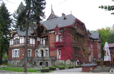 Villa historique à vendre Kudowa-Zdrój, Zdrojowa 36, Basse-Silésie,, Image 4/6