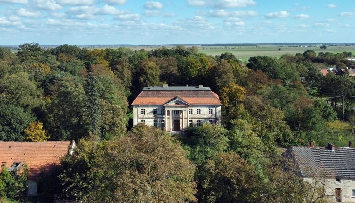 Château à vendre Granówko, Grande-Pologne,  Pologne