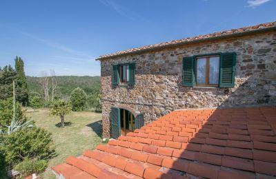 Ferme à vendre Asciano, Toscane, RIF 2982 Rustico