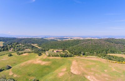 Ferme à vendre Asciano, Toscane, RIF 2982 Anwesen und Umgebung