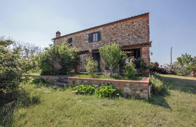 Ferme à vendre Asciano, Toscane, RIF 2982 Rustico und Terrasse