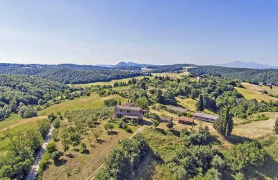 Ferme à vendre Asciano, Toscane, RIF 2982 Vogelperspektive II