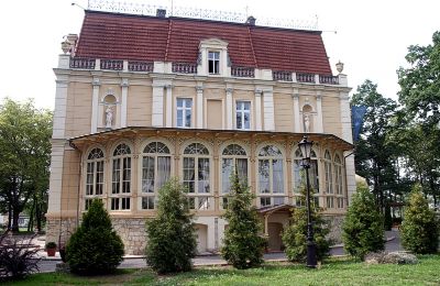 Château à vendre Niewodniki, Voïvodie d'Opole, Image 2/9