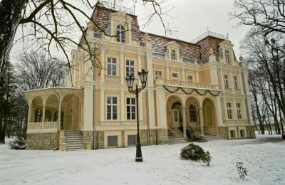 Château à vendre Niewodniki, Voïvodie d'Opole, Image 4/9