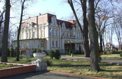 Château à vendre Niewodniki, Voïvodie d'Opole, Image 5/9