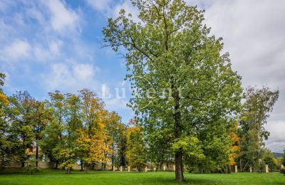 Château à vendre Mirošov, Zámek Mirošov, Plzeňský kraj, Image 23/30