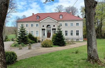 Château à vendre Sławnikowice, Slawnikowice 99, Basse-Silésie, Vue frontale