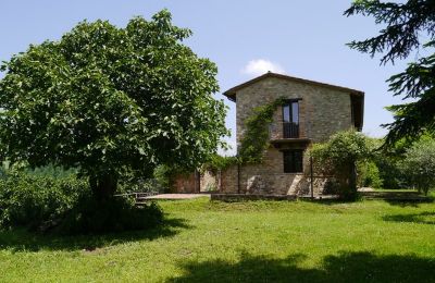 Ferme à vendre Promano, Ombrie, Terrain