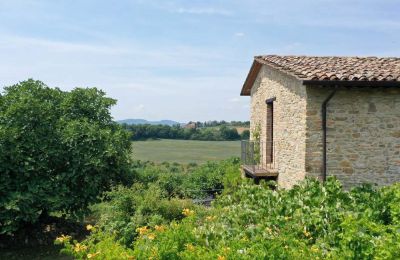 Ferme à vendre Promano, Ombrie, Image 20/21