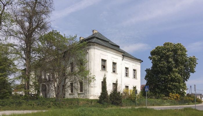 Château à vendre Pisarzowice, Voïvodie d'Opole,  Pologne