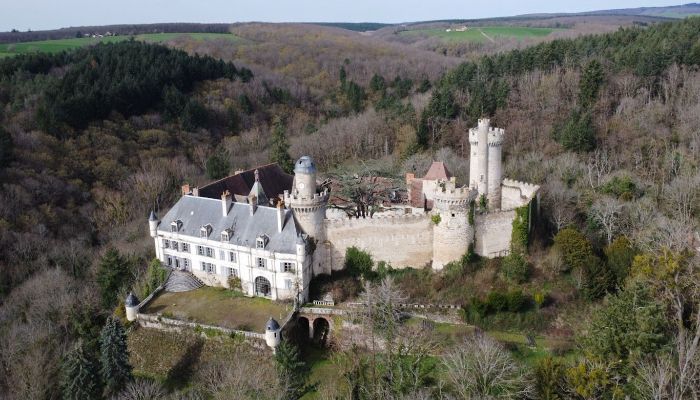 Château à vendre Veauce, Auvergne-Rhône-Alpes