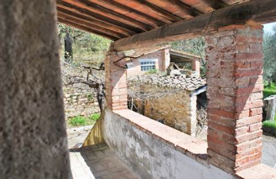 Ferme à vendre Siena, Toscane, RIF 3071 Pergola