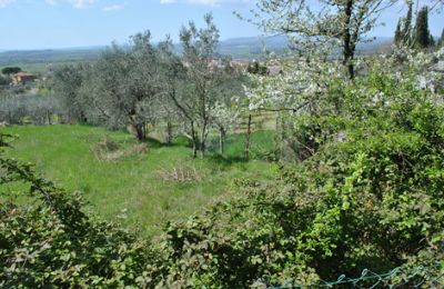 Ferme à vendre Siena, Toscane, RIF 3071 Garten