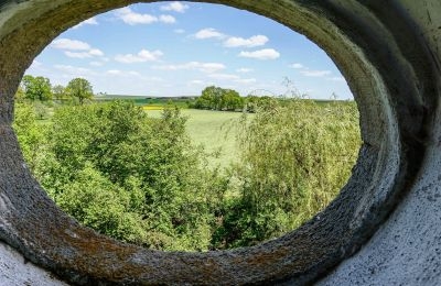 Château à vendre 91792 Ellingen, An der Vogtei 2, Bavière, Vue