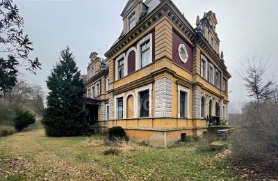 Château à vendre Olszyna Dolna, Pałac Olszyna, Basse-Silésie, Vue de l'arrière