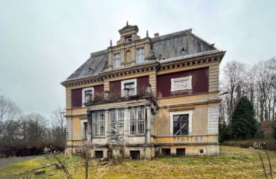 Château à vendre Olszyna Dolna, Pałac Olszyna, Basse-Silésie, Image 5/7