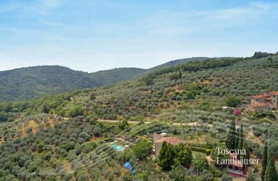 Maison de campagne à vendre Loro Ciuffenna, Toscane, RIF 3098 Anwesen und Umgebung