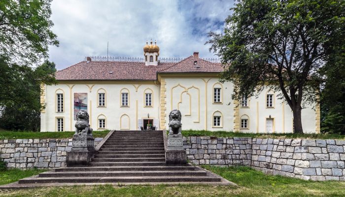 Château Szombathely, Comitat de Vas