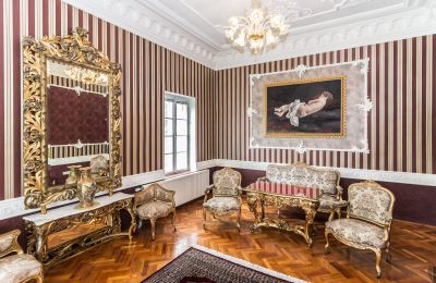 Château à vendre Szombathely, Comitat de Vas, Image 20/21