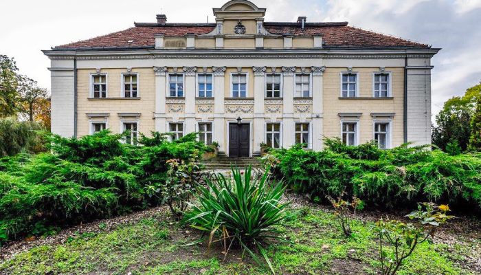 Château à vendre Gola, Grande-Pologne,  Pologne