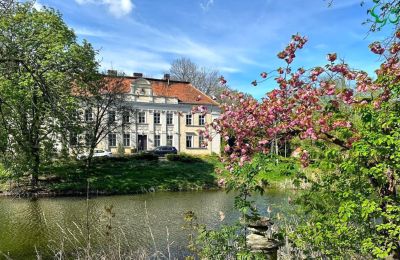 Château Gola, Grande-Pologne