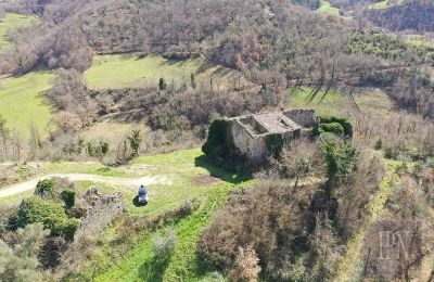 Château médiéval à vendre 06026 Pietralunga, Ombrie, Image 10/11