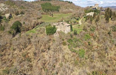 Château médiéval à vendre 06026 Pietralunga, Ombrie, Terrain