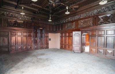 Château à vendre Bożków, Palac Wilelma von Magnis 1, Basse-Silésie, Salle de chasse