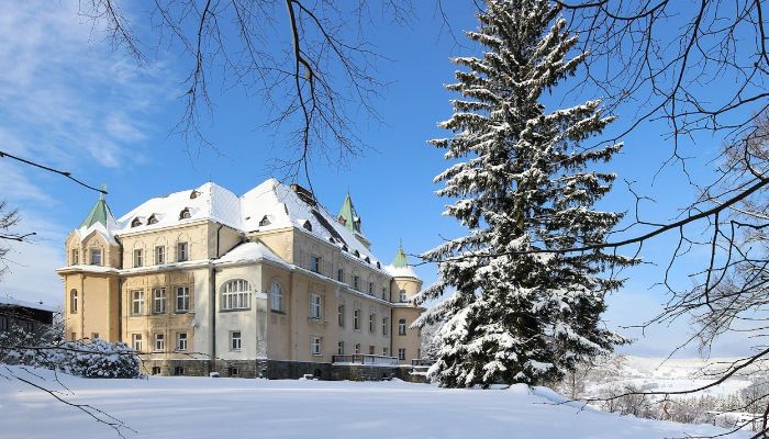 Château à vendre Liberec, Liberecký kraj,  République tchèque