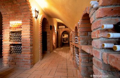 Château à vendre Hlavní město Praha, Cave à vin