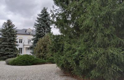 Manoir à vendre Zarębów, Dwór w Zarębowie, Łódź, Image 19/22