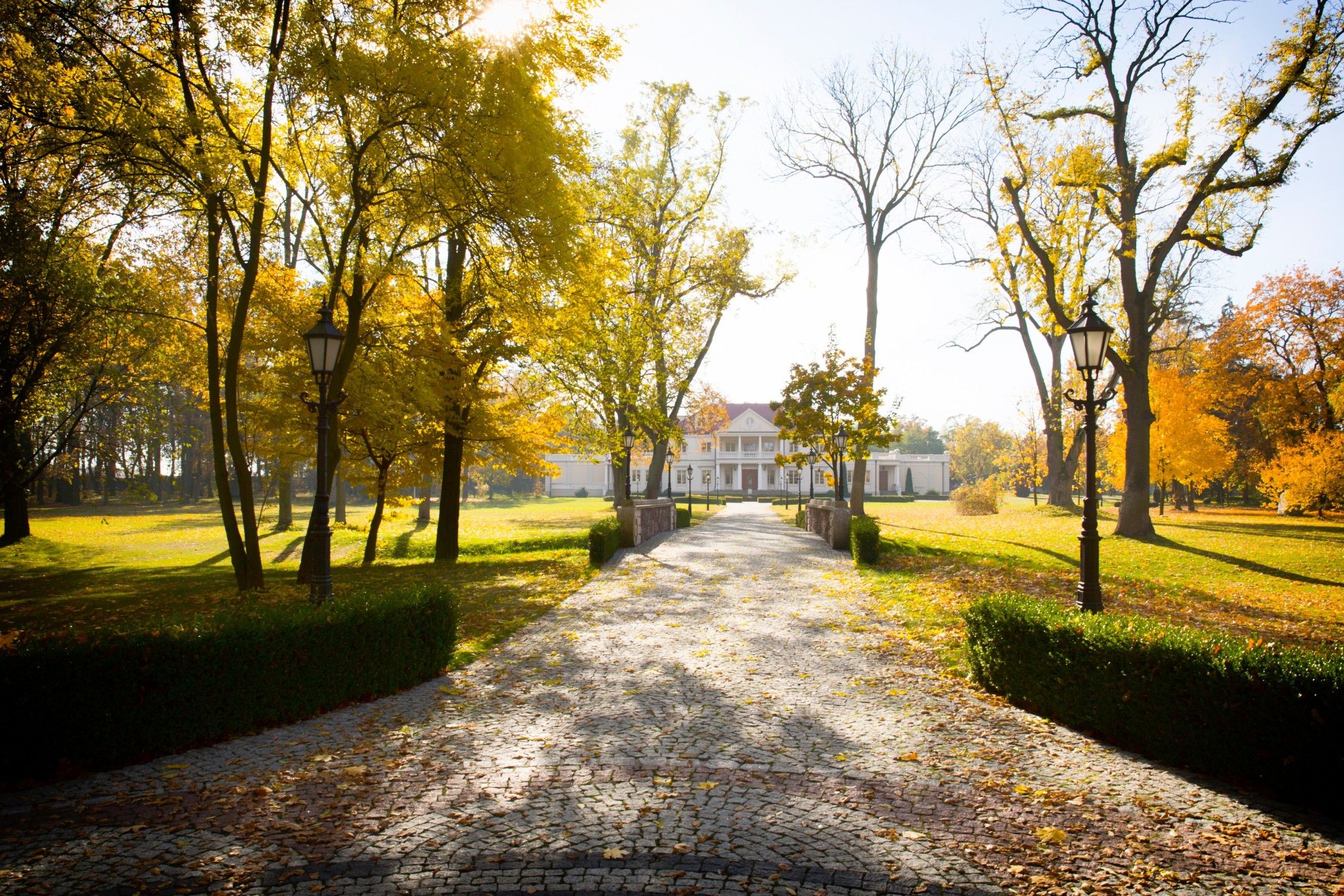 Photos Manoir et parc à Zborów, région de Grande-Pologne