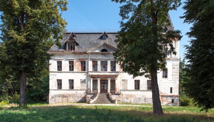 Château à vendre Budziwojów, Basse-Silésie