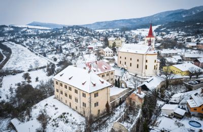 Château à vendre Žitenice, Zámek Žitenice, Ústecký kraj, Image 31/31