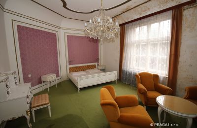 Manoir à vendre Karlovy Vary, Karlovarský kraj, Image 11/14