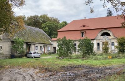 Château à vendre Cecenowo, Pałac w Cecenowie, Poméranie, Image 5/15