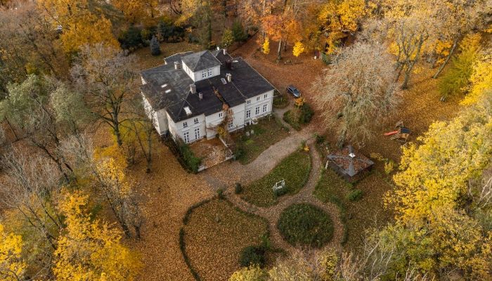 Manoir à vendre Lisewo, Poméranie