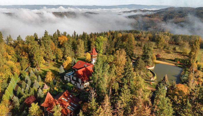 Château à vendre Karlovy Vary, Karlovarský kraj,  République tchèque