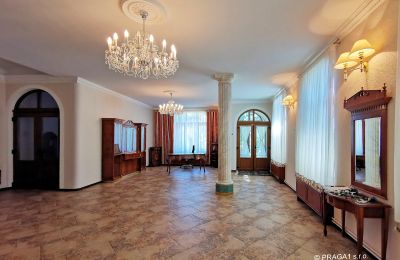 Château à vendre Karlovy Vary, Karlovarský kraj, Image 5/14