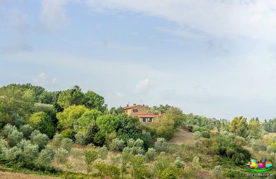 Maison de campagne à vendre Livorno, Toscane, Image 15/16