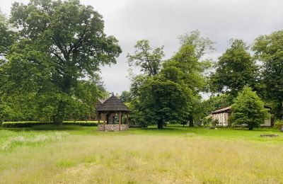 Manoir à vendre Paplin, Dwór w Paplinie, Mazovie, Terrain