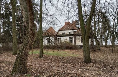 Manoir à vendre Leszno, Grande-Pologne, Vue latérale