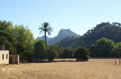 Manoir à vendre Mallorca, Serra de Tramuntana, Cala Sant Vicenç, Îles Baléares, Image 11/14