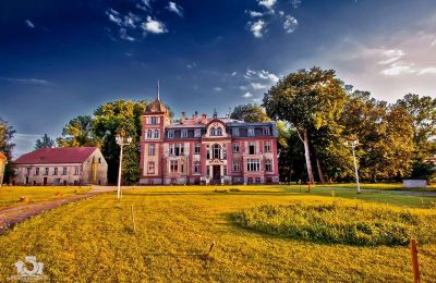 Château à vendre Brzeźnica, Bobrzańska 1, Lubusz, Stan wspołczesny