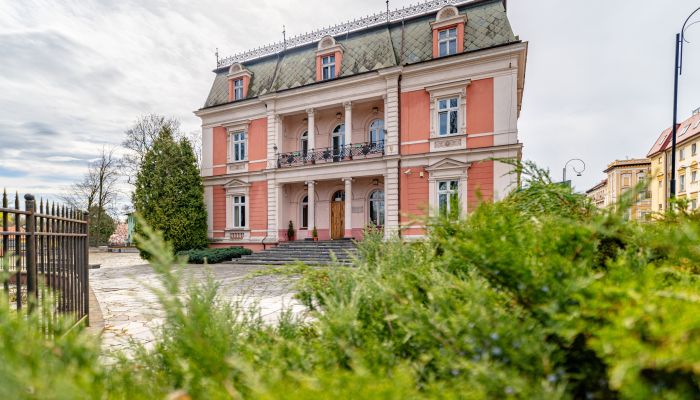 Villa historique Legnica 2