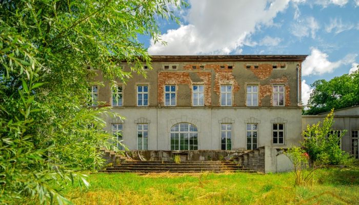 Château Krąpiel 5