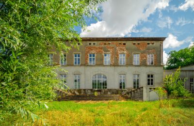Château à vendre Krąpiel, Pałac w Krąpielu, Poméranie occidentale, Image 5/15